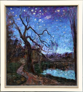 Starry night over a pond